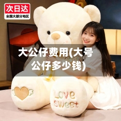 大公仔费用(大号公仔多少钱)