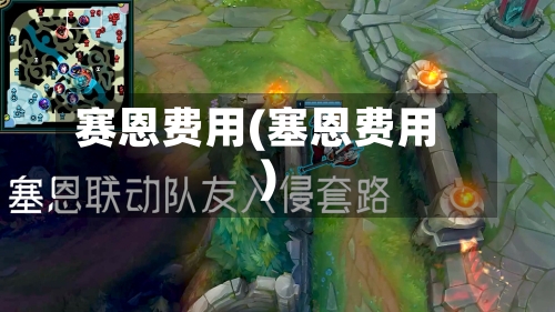 赛恩费用(塞恩费用)-第3张图片