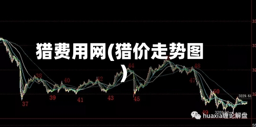 猎费用网(猎价走势图)