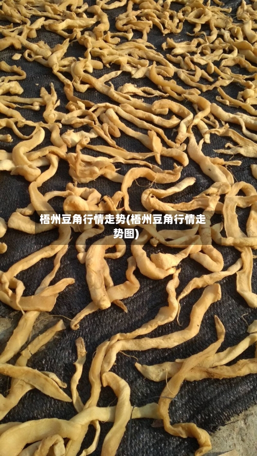 梧州豆角行情走势(梧州豆角行情走势图)