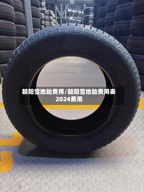 朝阳雪地胎费用/朝阳雪地胎费用表2024费用-第2张图片