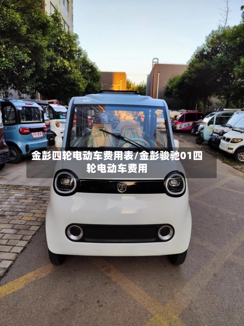 金彭四轮电动车费用表/金彭骏驰01四轮电动车费用