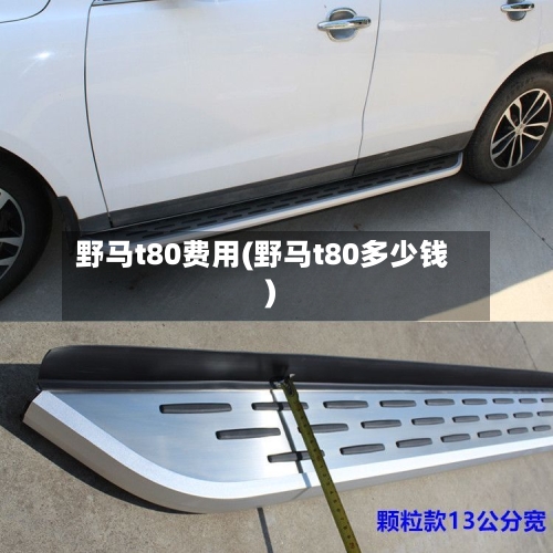 野马t80费用(野马t80多少钱)