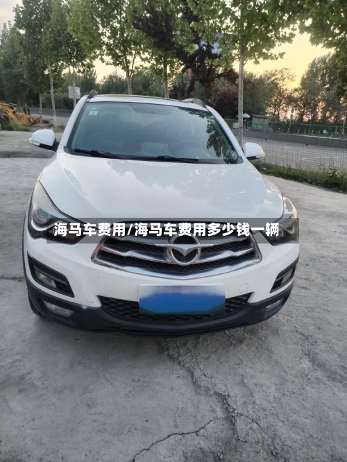海马车费用/海马车费用多少钱一辆