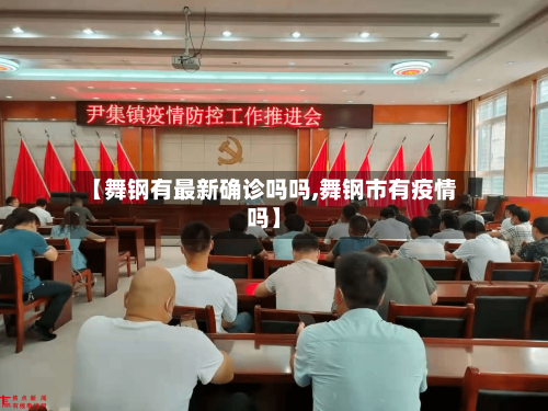 【舞钢有最新确诊吗吗,舞钢市有疫情吗】-第2张图片