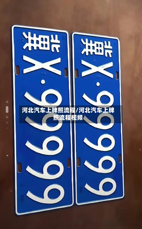 河北汽车上牌照流程/河北汽车上牌照流程视频