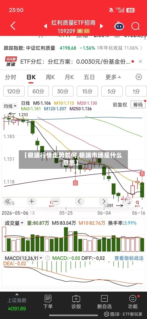 【极端行情走势如何,极端市场是什么意思】