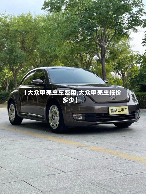 【大众甲壳虫车费用,大众甲壳虫报价多少】-第2张图片