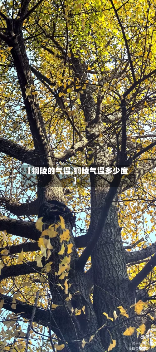 【铜陵的气温,铜陵气温多少度】