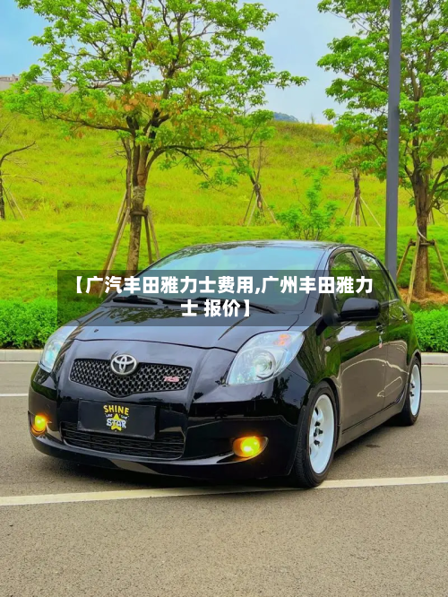【广汽丰田雅力士费用,广州丰田雅力士 报价】-第3张图片