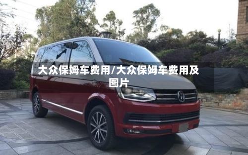 大众保姆车费用/大众保姆车费用及图片