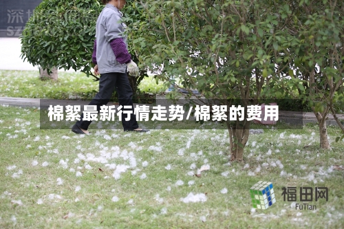 棉絮最新行情走势/棉絮的费用-第2张图片