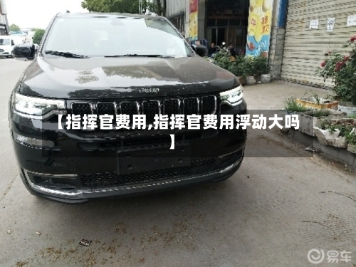 【指挥官费用,指挥官费用浮动大吗】-第3张图片
