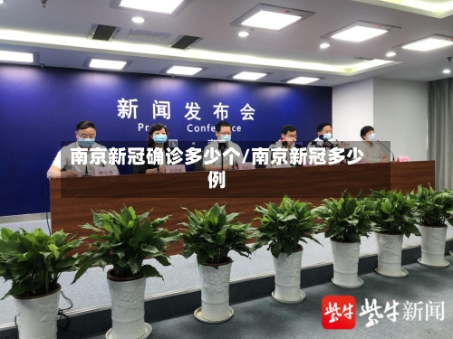 南京新冠确诊多少个/南京新冠多少例