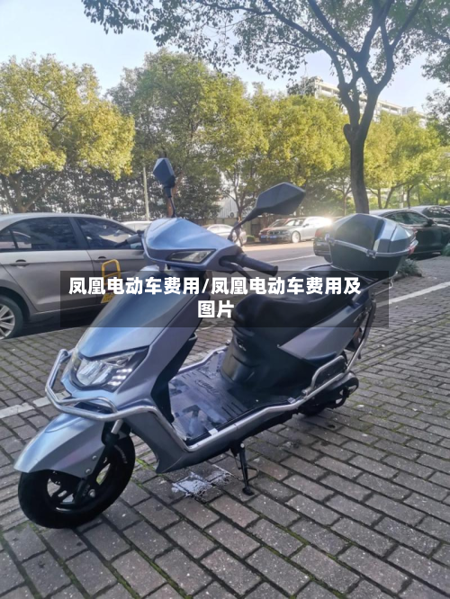 凤凰电动车费用/凤凰电动车费用及图片