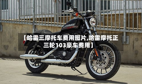 【哈雷三摩托车费用图片,哈雷摩托正三轮103豪车费用】