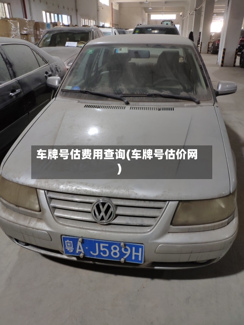 车牌号估费用查询(车牌号估价网)-第2张图片
