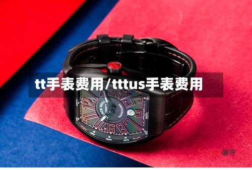 tt手表费用/tttus手表费用