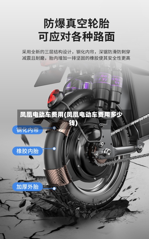 凤凰电动车费用(凤凰电动车费用多少钱)-第2张图片