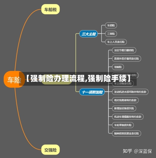 【强制险办理流程,强制险手续】