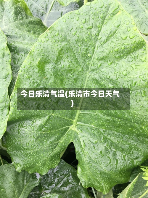 今日乐清气温(乐清市今日天气)-第2张图片
