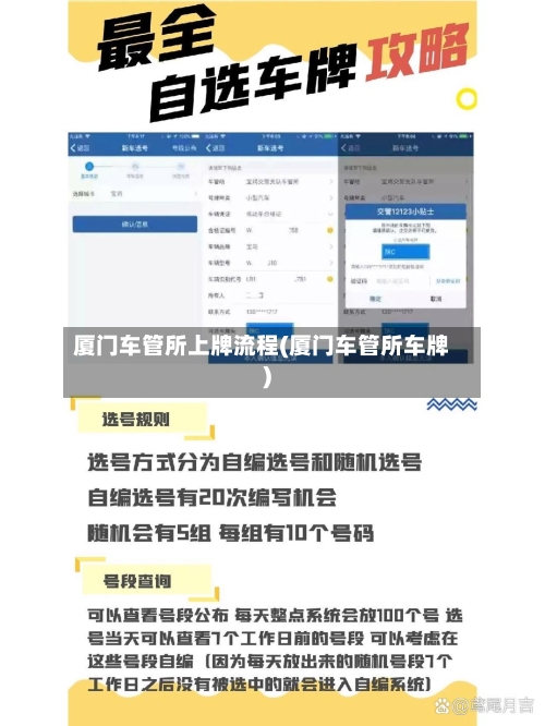 厦门车管所上牌流程(厦门车管所车牌)-第2张图片