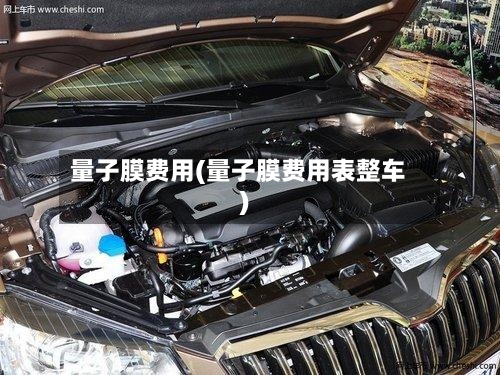 量子膜费用(量子膜费用表整车)-第3张图片