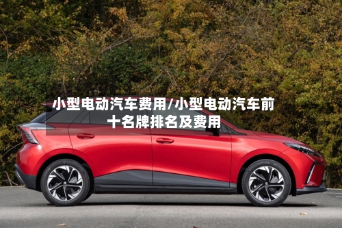小型电动汽车费用/小型电动汽车前十名牌排名及费用-第2张图片