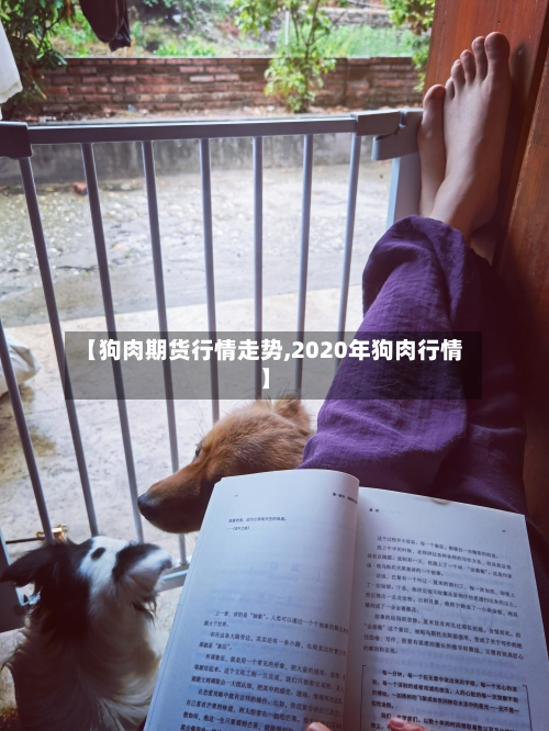 【狗肉期货行情走势,2020年狗肉行情】