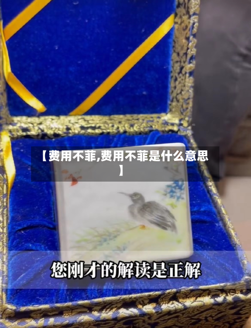 【费用不菲,费用不菲是什么意思】-第2张图片