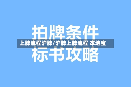 上牌流程沪牌/沪牌上牌流程 本地宝